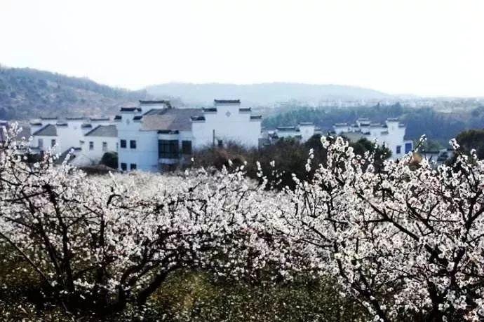 14岁重孙子生病输液,一米八的大高个倚靠在太奶奶身上