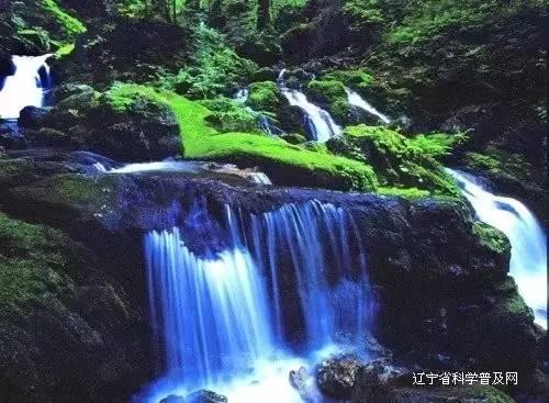 世界首富换人：阿尔诺超越马斯克