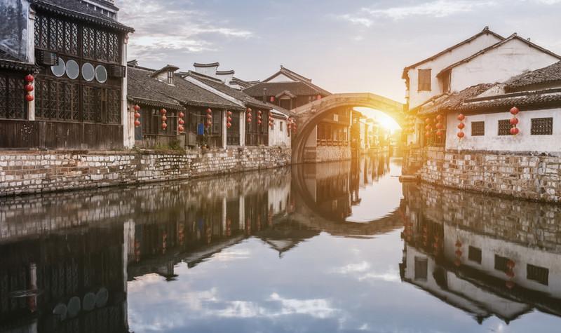 寻找火鸡